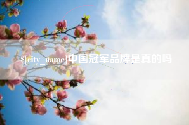 宁德中国冠军品牌是真的吗