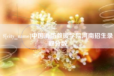 宁德中国消防救援学院河南招生录取分数