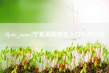 宁德宁夏消防报名入口官网公告