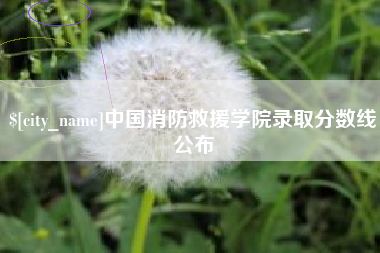 宁德中国消防救援学院录取分数线公布