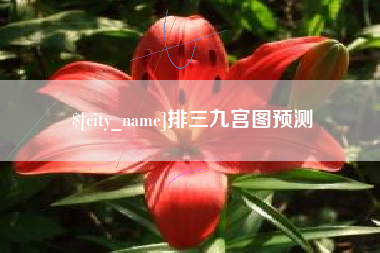宁德排三九宫图预测
