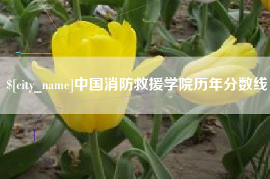宁德中国消防救援学院历年分数线