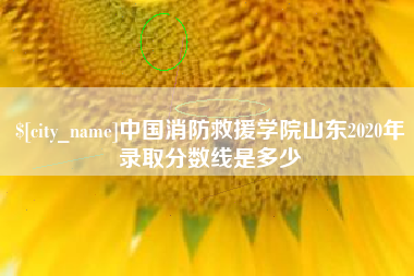 宁德中国消防救援学院山东2020年录取分数线是多少