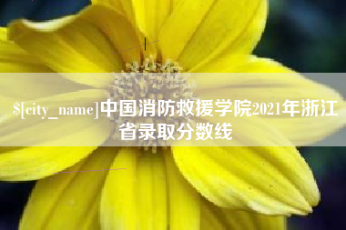 宁德中国消防救援学院2021年浙江省录取分数线