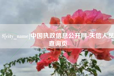 宁德中国执政信息公开网-失信人员查询页