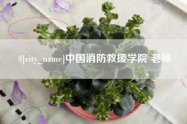 宁德中国消防救援学院 老师