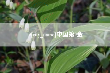 宁德中国第9金