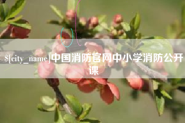 宁德中国消防官网中小学消防公开课