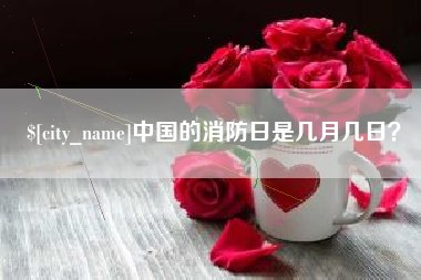 宁德中国的消防日是几月几日？