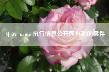 宁德执行信息公开网查到的案件