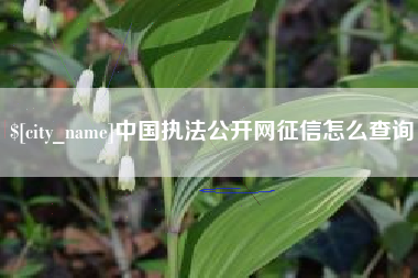 宁德中国执法公开网征信怎么查询