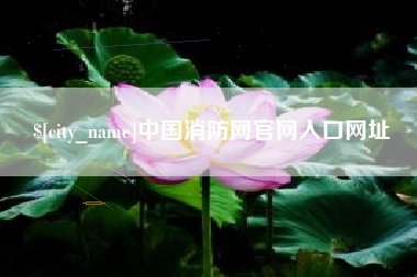 宁德中国消防网官网入口网址