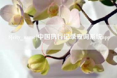 宁德中国执行记录查询系统app