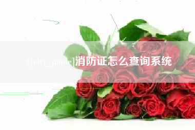宁德消防证怎么查询系统