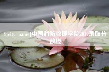 宁德中国消防救援学院2019录取分数线