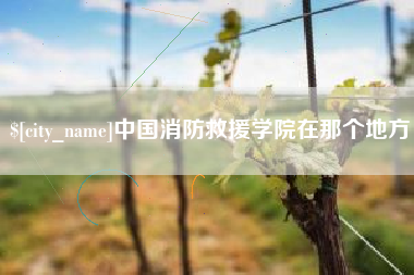 宁德中国消防救援学院在那个地方