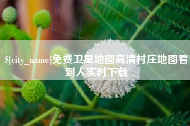 宁德免费卫星地图高清村庄地图看到人实时下载