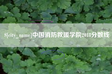 宁德中国消防救援学院2018分数线