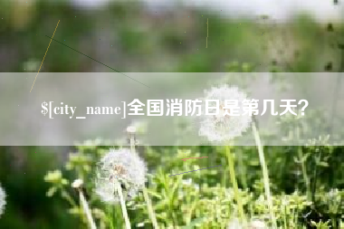 宁德全国消防日是第几天？