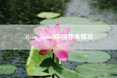 宁德中国夺金情况