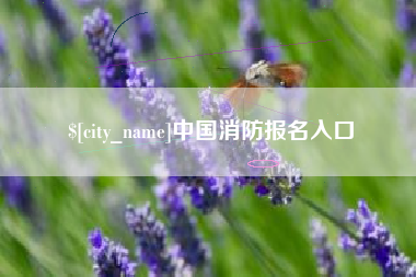 宁德中国消防报名入口