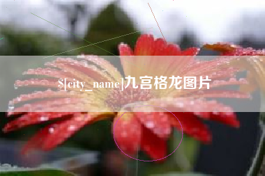 宁德九宫格龙图片