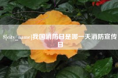 宁德我国消防日是哪一天消防宣传日