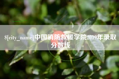 宁德中国消防救援学院2019年录取分数线