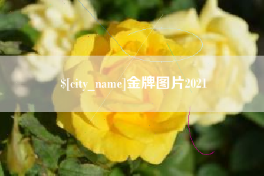 宁德金牌图片2021