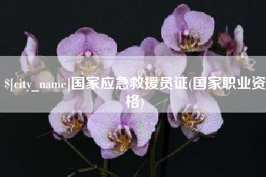 宁德国家应急救援员证(国家职业资格)