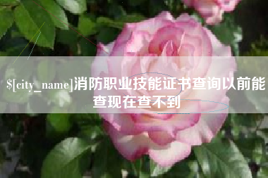 宁德消防职业技能证书查询以前能查现在查不到