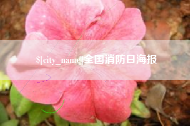 宁德全国消防日海报
