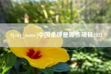 宁德中国金牌是哪些项目2021