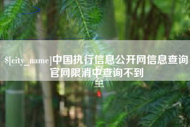 宁德中国执行信息公开网信息查询官网限消中查询不到