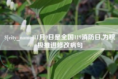 宁德11月9日是全国119消防日,为积极推进修改病句