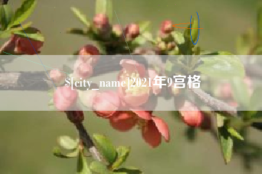 宁德2021年9宫格