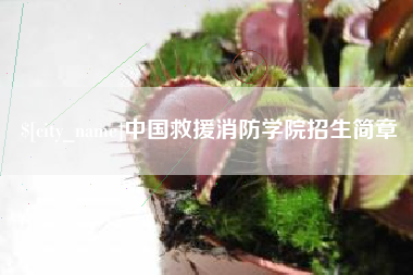 宁德中国救援消防学院招生简章