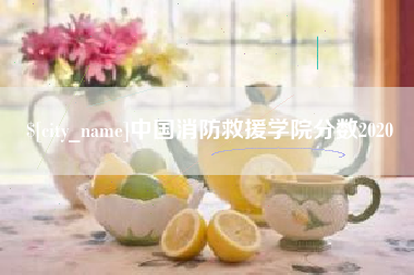 宁德中国消防救援学院分数2020