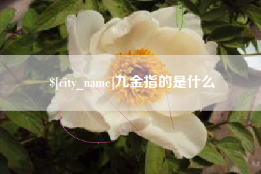 宁德九金指的是什么