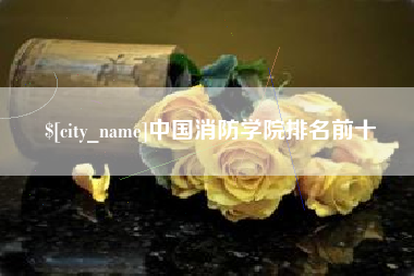 宁德中国消防学院排名前十