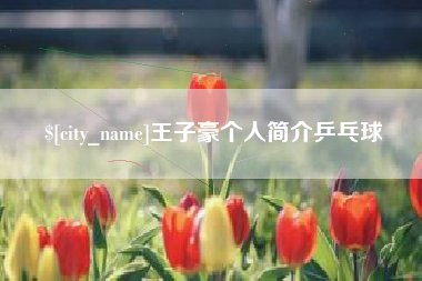 宁德王子豪个人简介乒乓球
