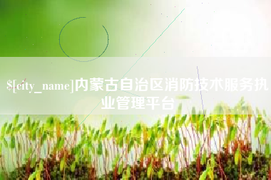 宁德内蒙古自治区消防技术服务执业管理平台