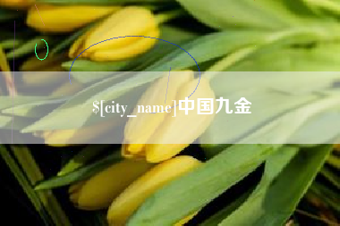 宁德中国九金