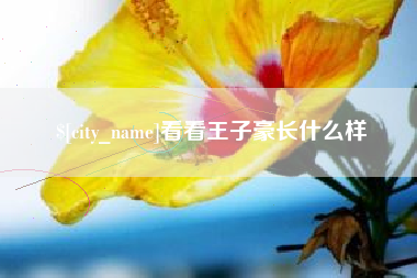宁德看看王子豪长什么样