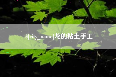 宁德龙的粘土手工