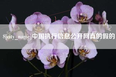 宁德中国执行信息公开网真的假的