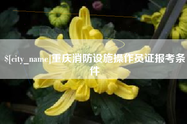 宁德重庆消防设施操作员证报考条件