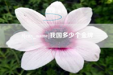 宁德我国多少个金牌