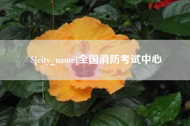 宁德全国消防考试中心