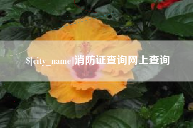 宁德消防证查询网上查询